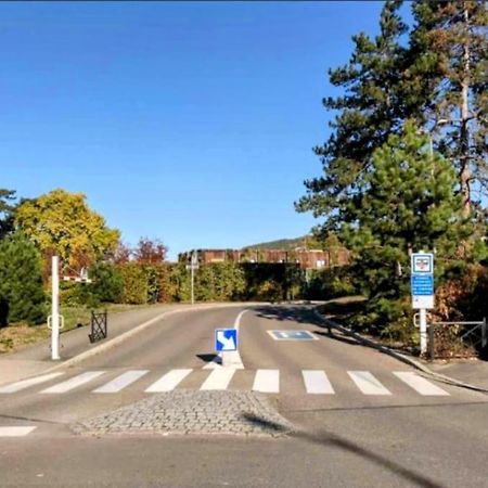 L'Appar'T - Centre Historique De Obernai Διαμέρισμα Εξωτερικό φωτογραφία