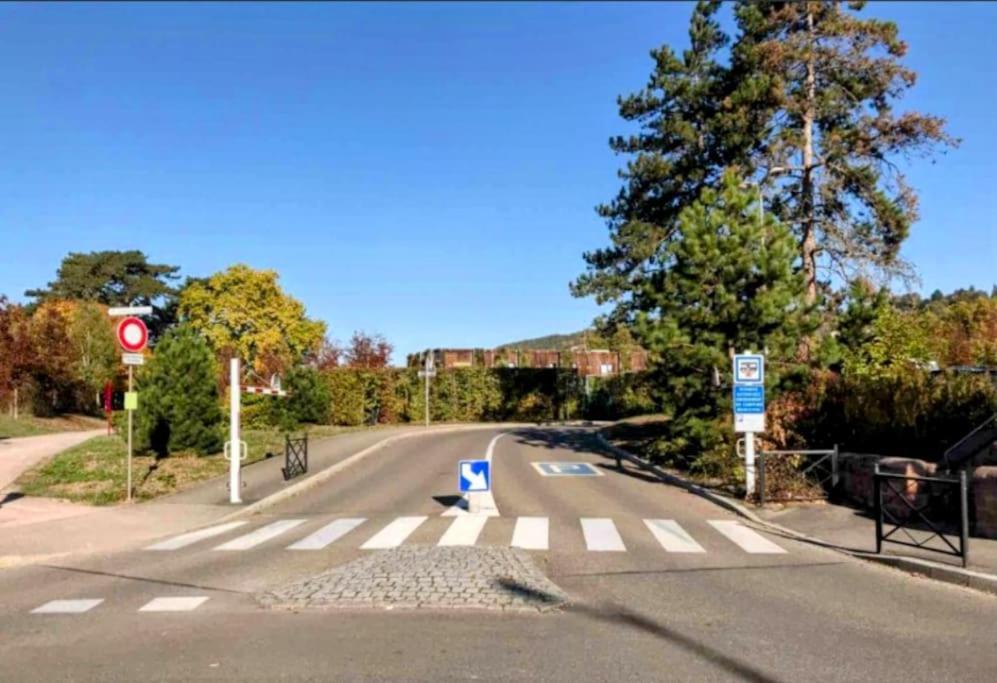 L'Appar'T - Centre Historique De Obernai Διαμέρισμα Εξωτερικό φωτογραφία